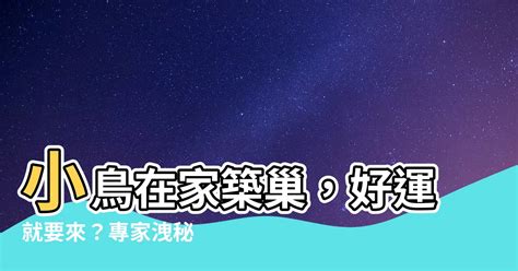 小鳥在家築巢風水|【小鳥築巢在家】小鳥築巢我家！好兆頭？還是另有玄機？